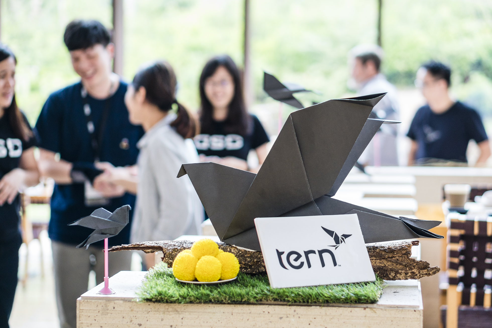 Tern Strengthens Leadership Team Amidst Steady Growth in 2022