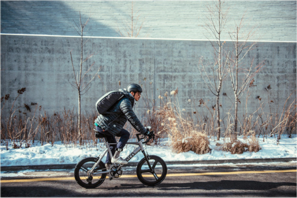 Tern Roji Bikes Go Global