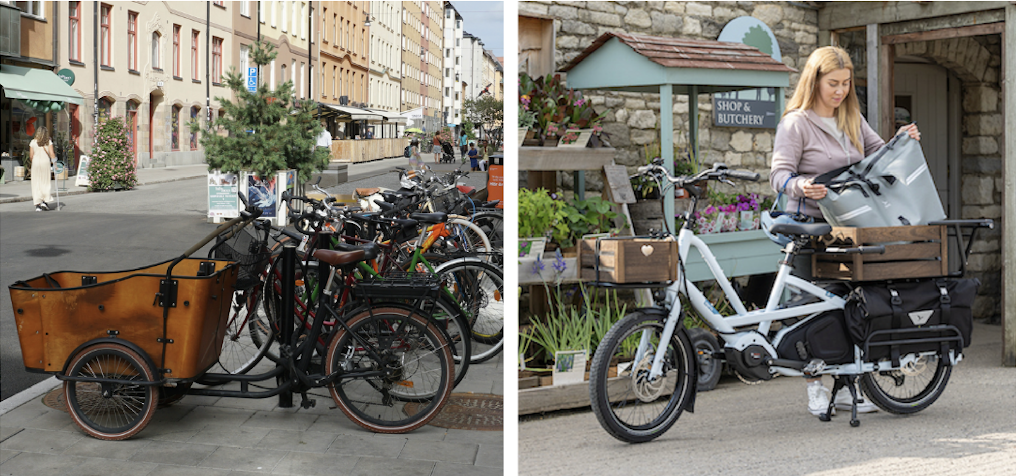 Front-loading and rear-loading cargo bike