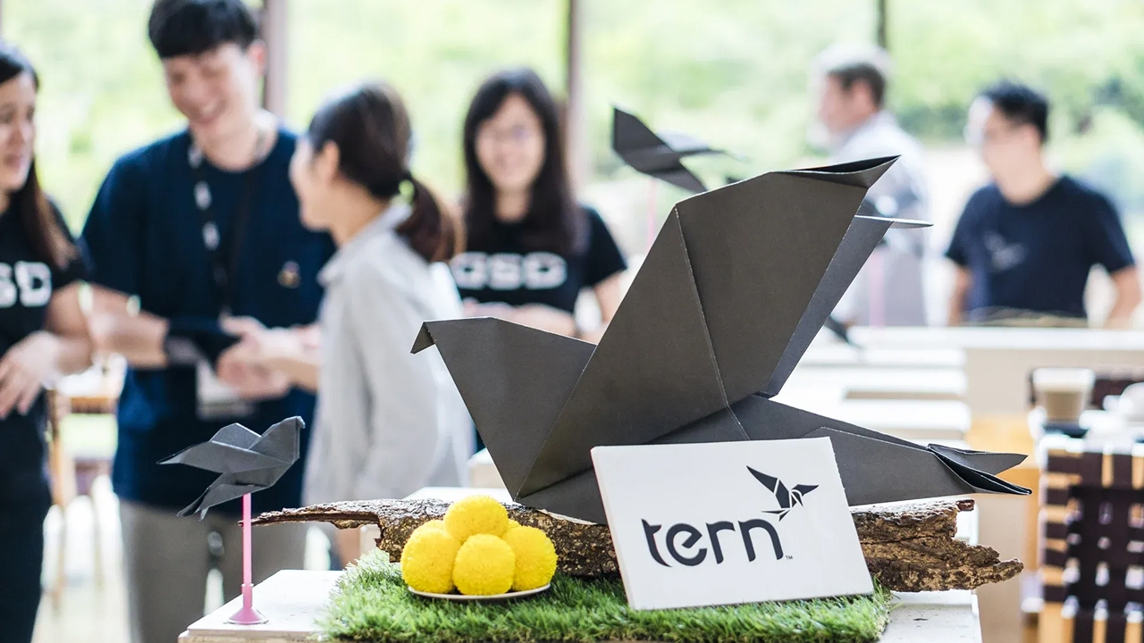 Tern office