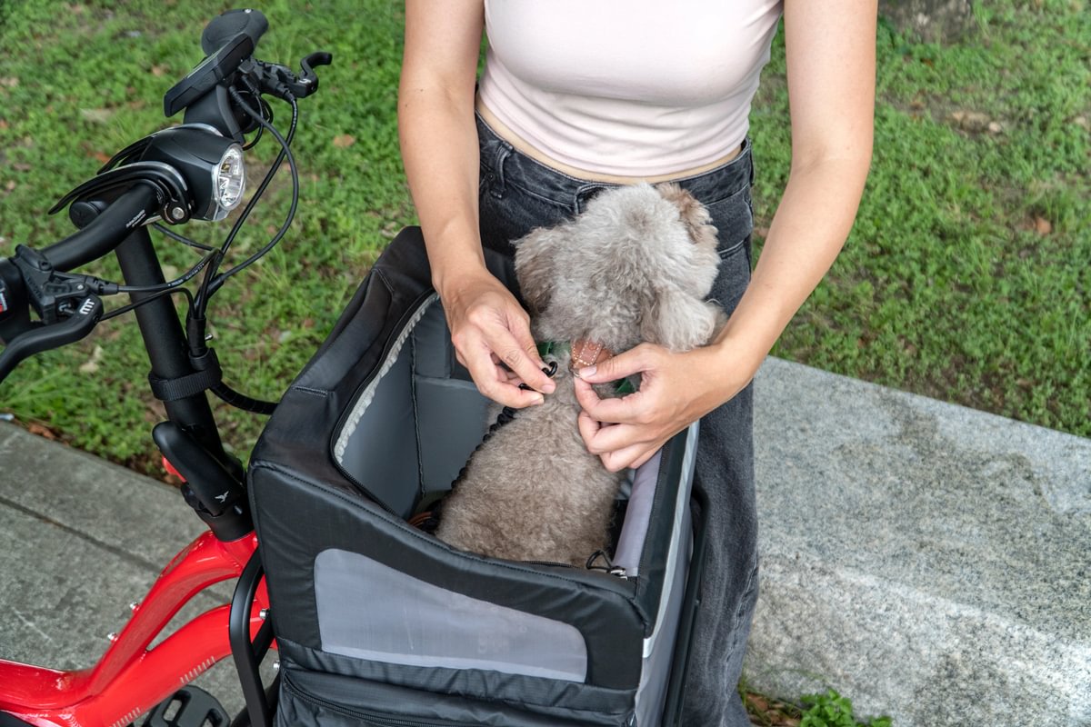 RuffHouse front dog carrier on NBD eBike