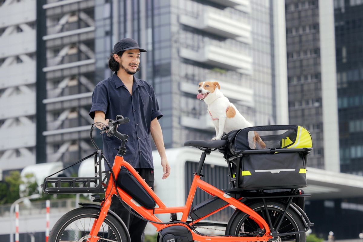 Doghouse Mini bike carrier for dogs on a Tern Quick Haul, with a Jack Russell Terrier inside 
