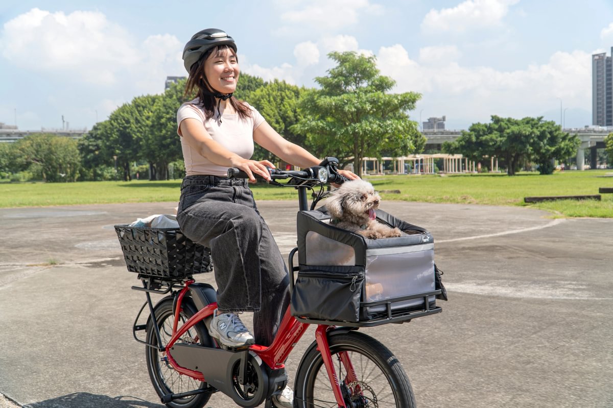 RuffHouse dog bag carrier for Tern bikes, with toy poodle inside