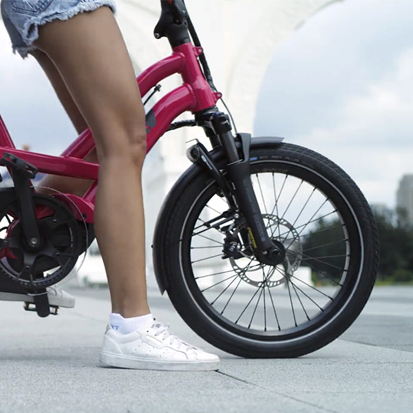 GSD: Cargo Electric Bike Easy Step Over