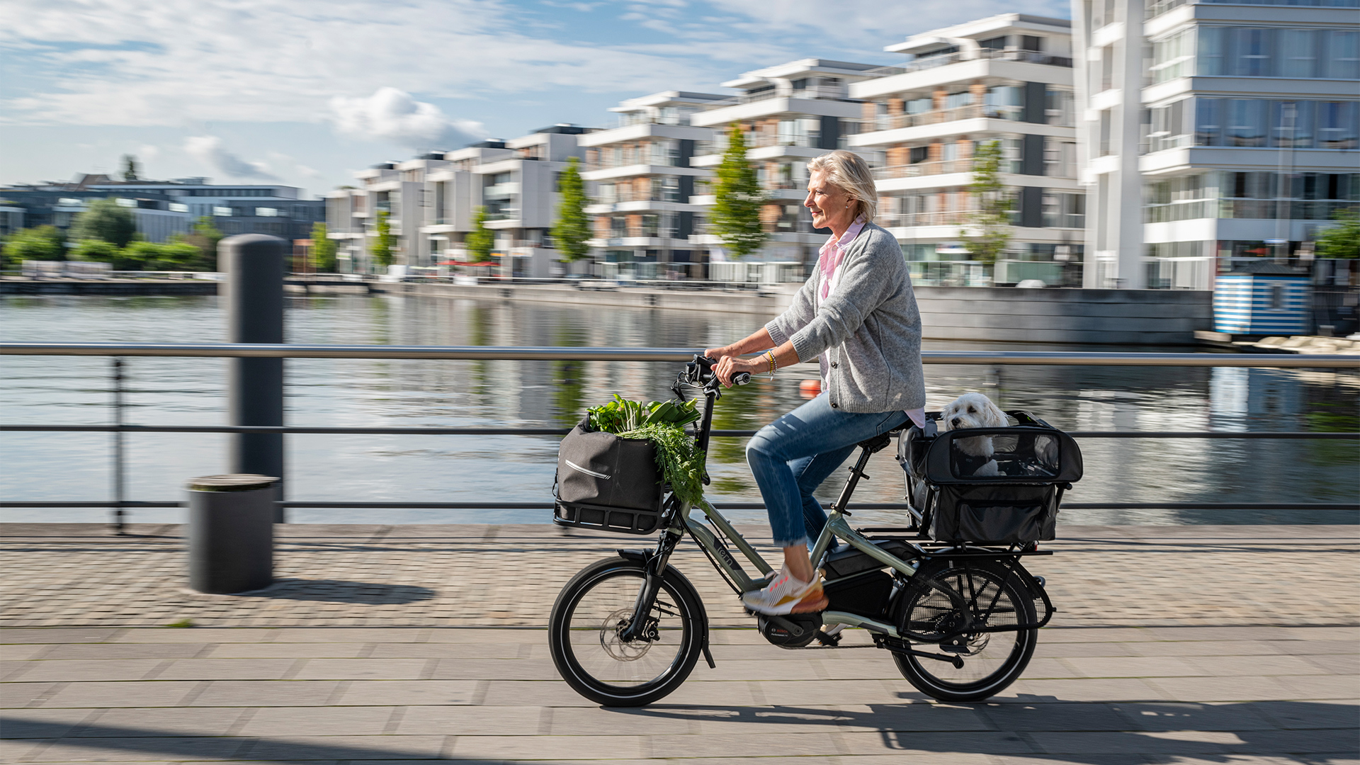 elderly woman riding cargo electric bike