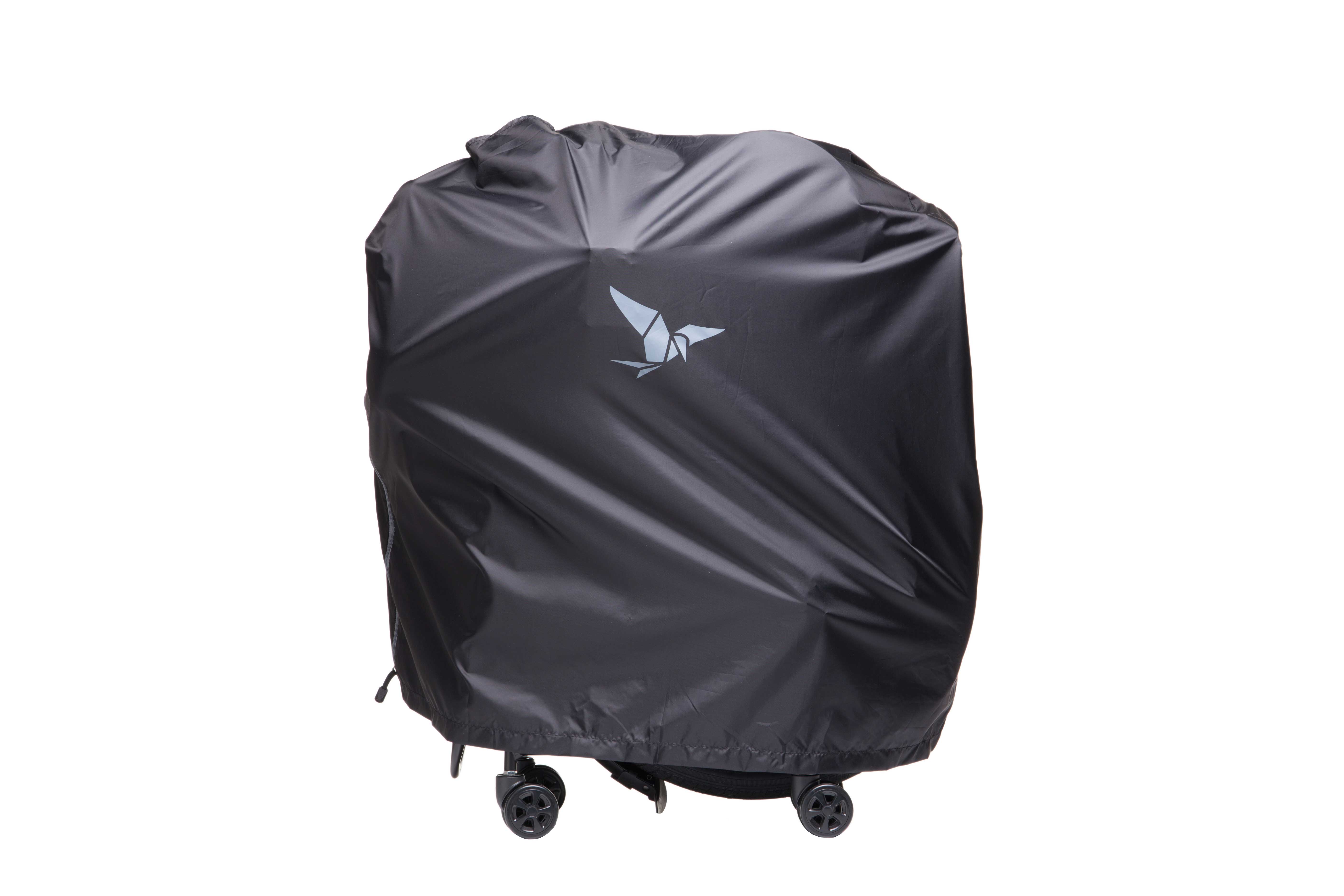 tern rapid transit