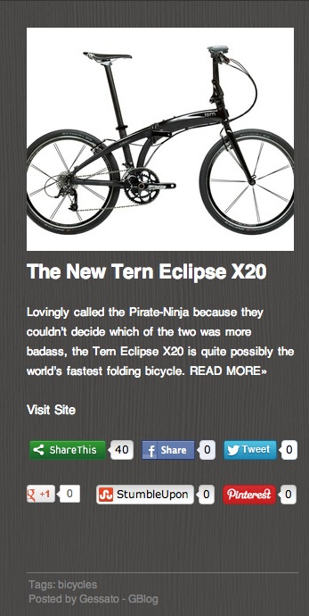 tern eclipse x20 ninja