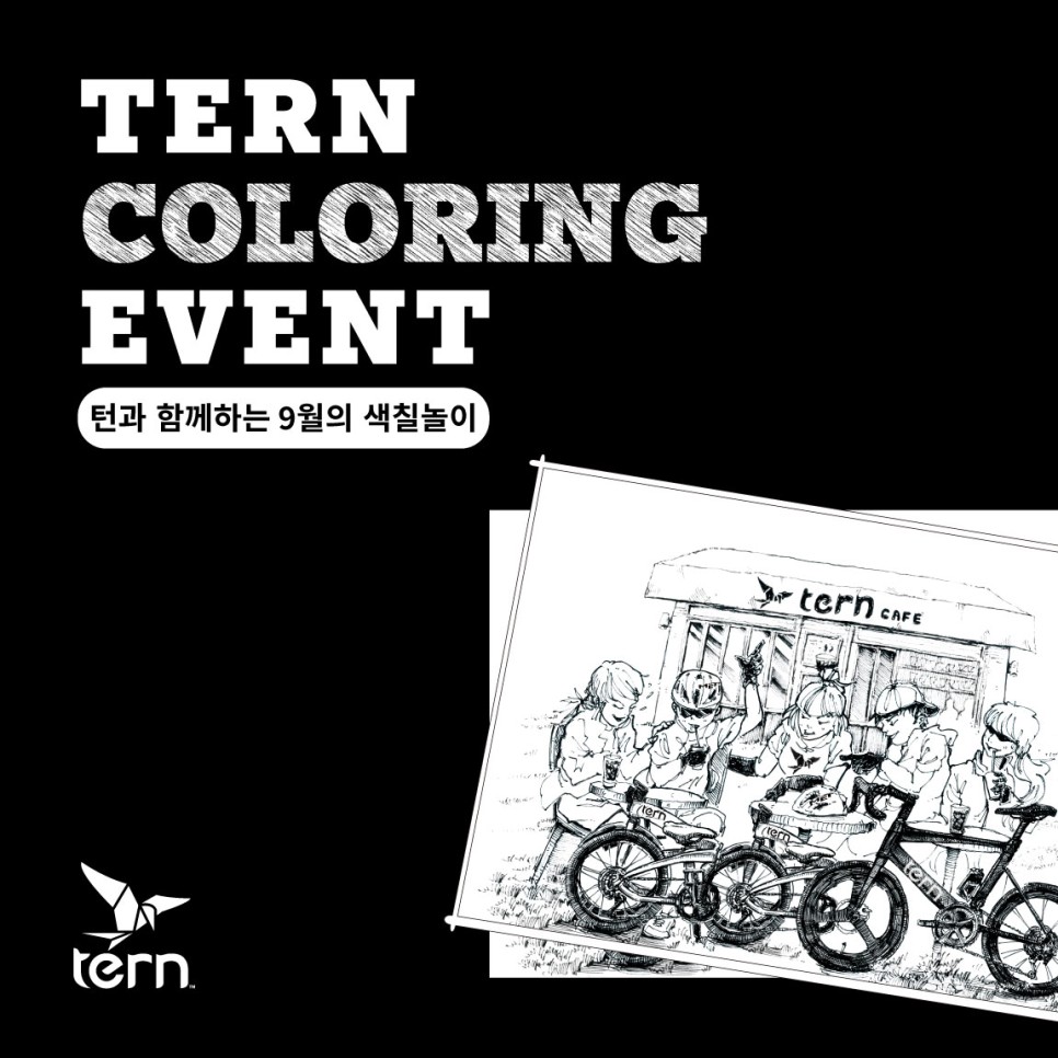 tern_coloring_event
