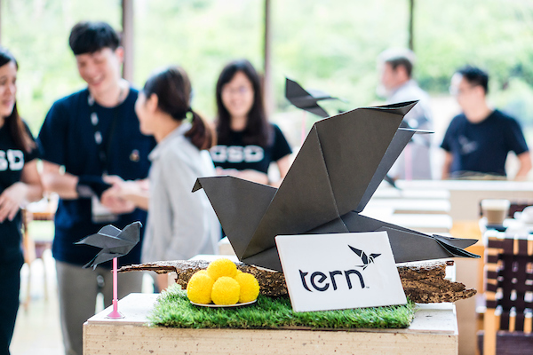 Tern team event