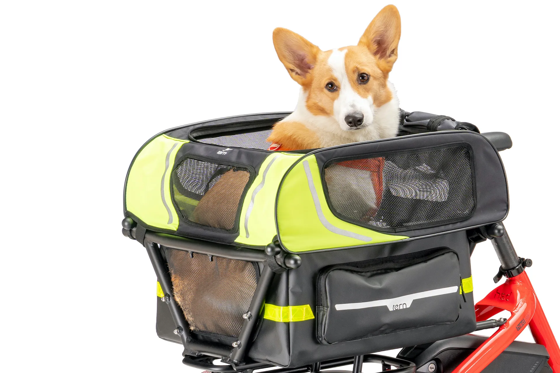 cat carrier for bicycle