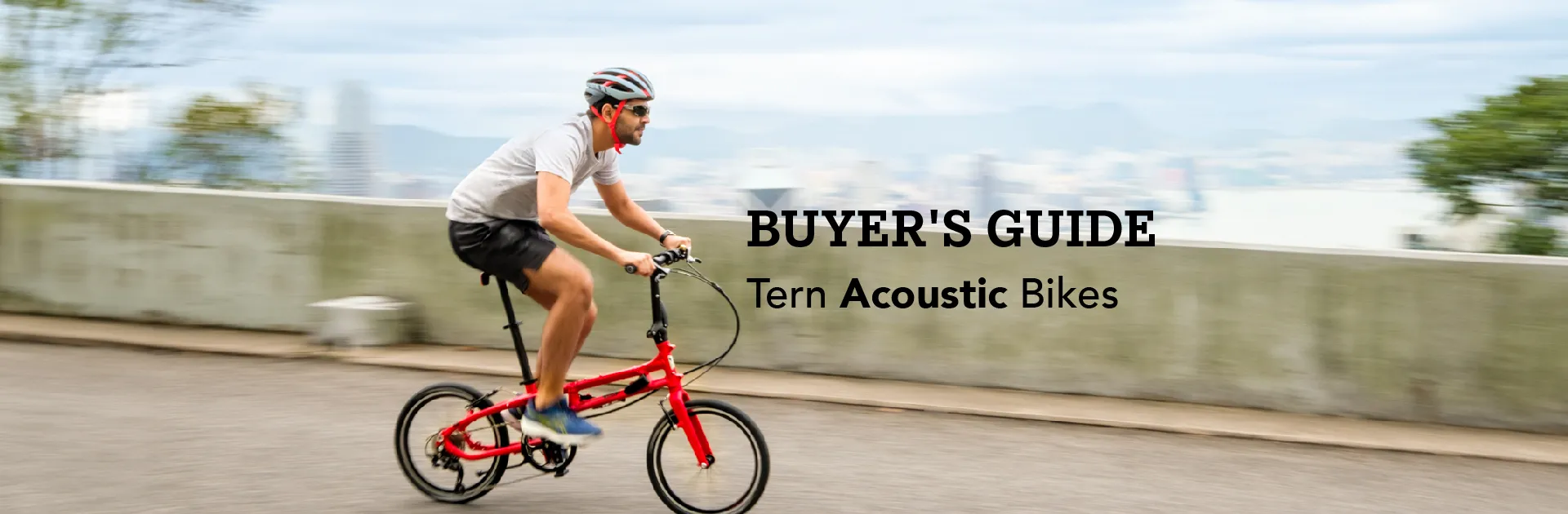 Tern Acoustic Bike Buyer's Guide