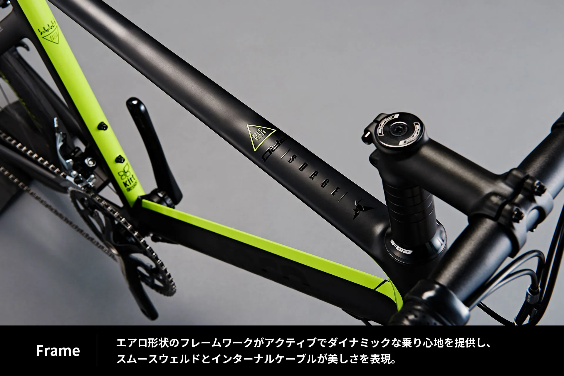 SURGE PRO - Delta | Tern Bicycles