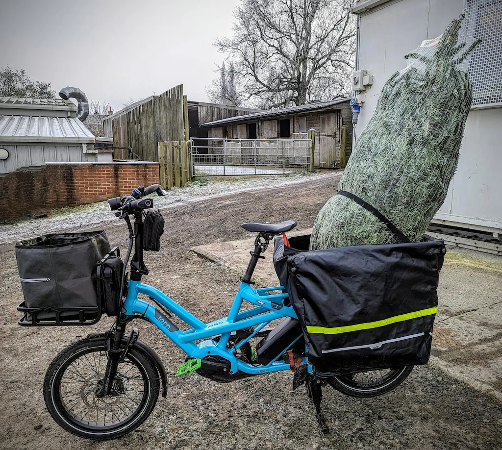 GSD cargo bike hauls large Christmas tree