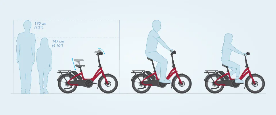 Easy to Share Low Step Ebike