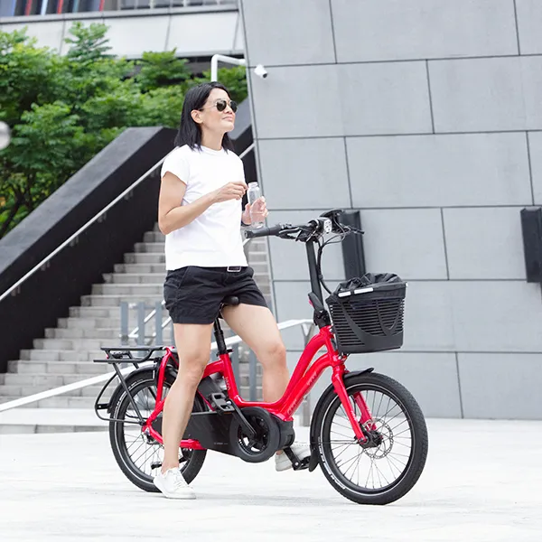 Low step electric bike