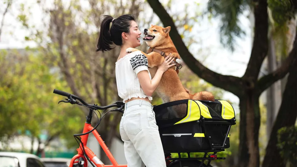 Doghouse Mini FAQ