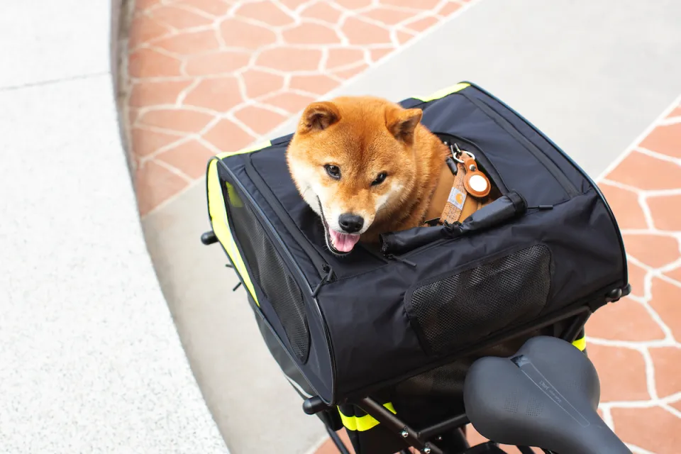 A woman putting her dog into the Doghouse Mini pet carrier on the rear rack of an orange Tern Quick Haul electric bicycle.