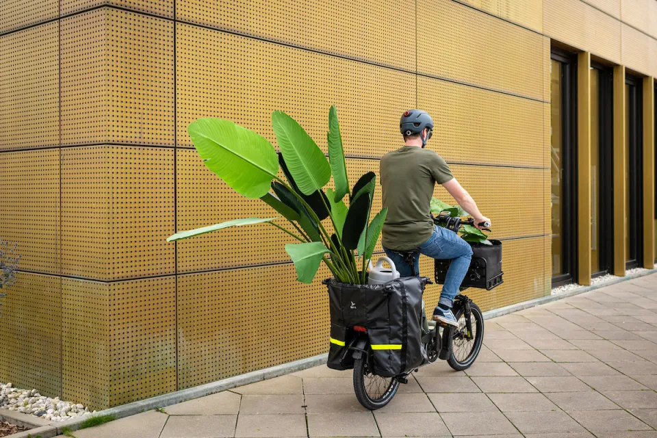 A man riding a Tern HSD e-bike while carrying a large potted plant in the waterproof Storm Box panniers.