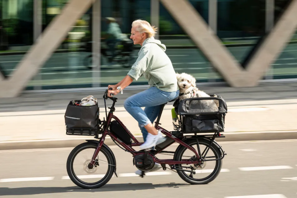 Woman riding a Tern Quick Haul cargo e bike while carrying a dog in the Doghouse Mini rear rack accessory.