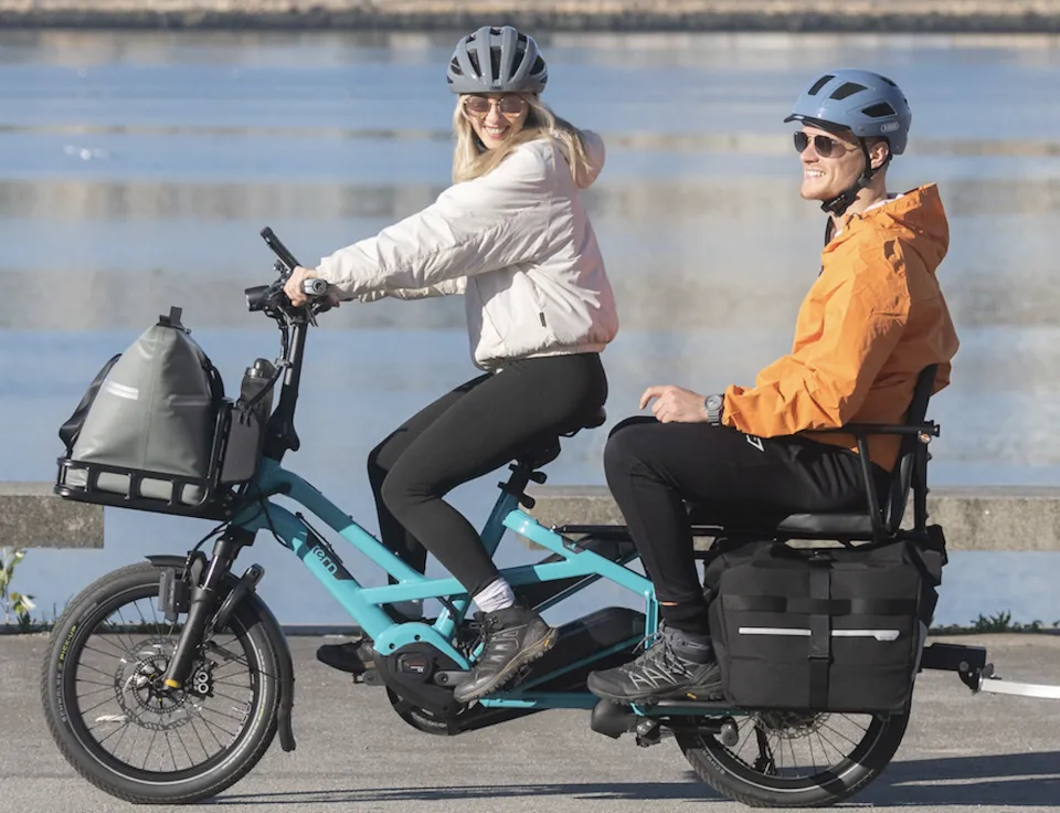 cargo hold 37 panniers - passenger footrest