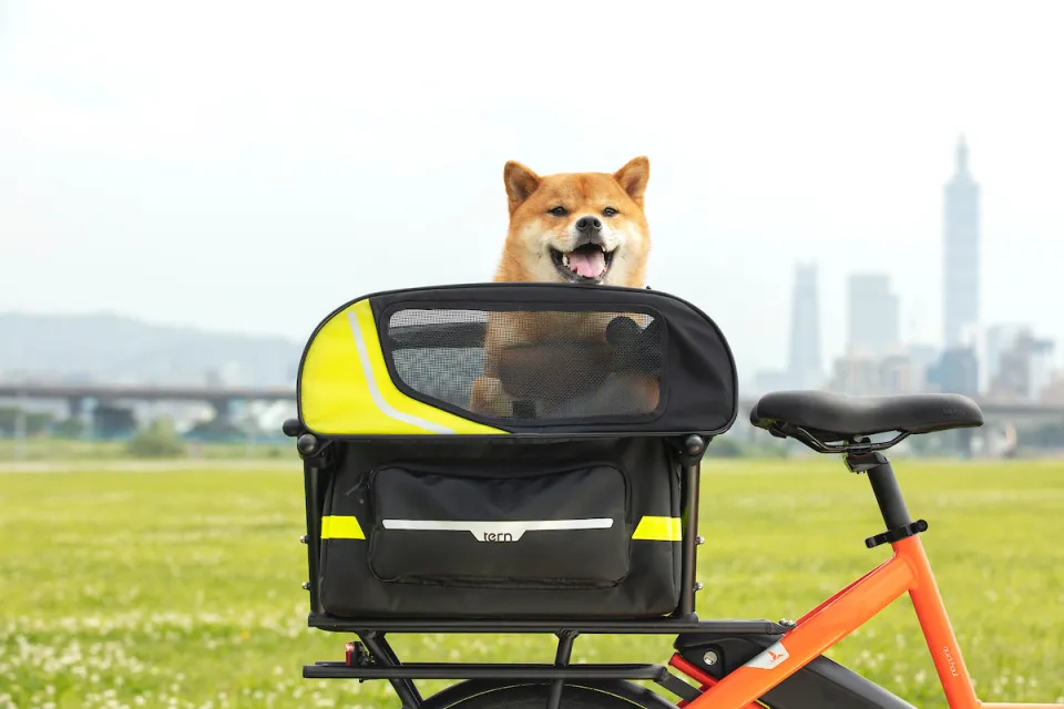 Tern Doghouse Mini pet carrier on the rear rack of a Tern Quick Haul cargo ebike
