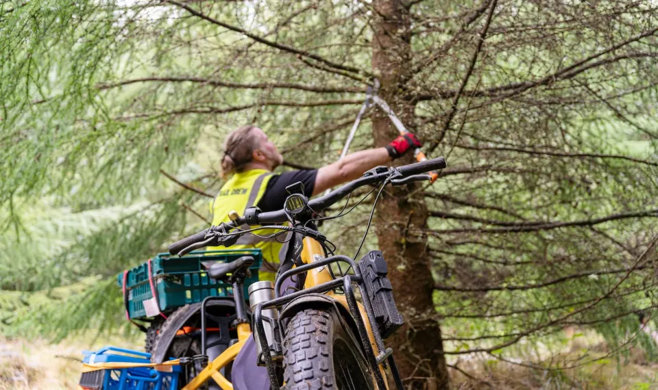 trail building with Tern Orox