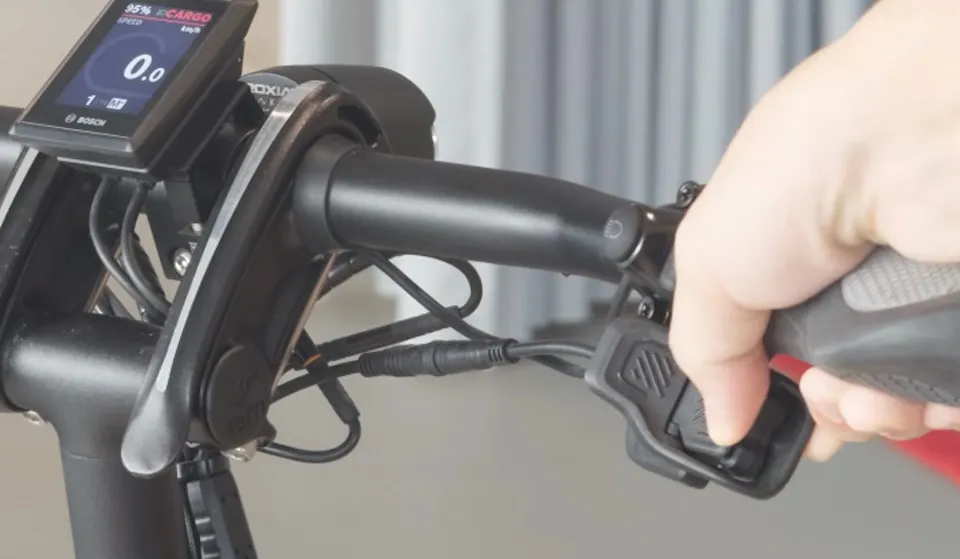 changing modes on Rohloff automatic