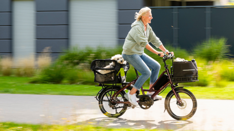 TN-QuickHaul-Dog-Carrying6 (1920x630).png