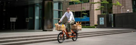 sh-cargo-guide