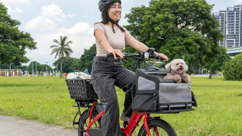 RuffHouse dog carrier on NBD eBike banner image