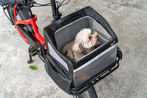RuffHouse dog carrier on the Transporteur Rack for Tern cargo ebikes