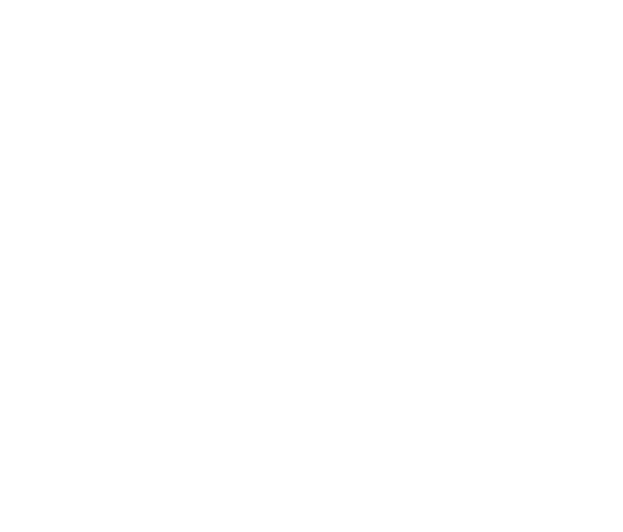 Illustration of a rider on a Orox bike